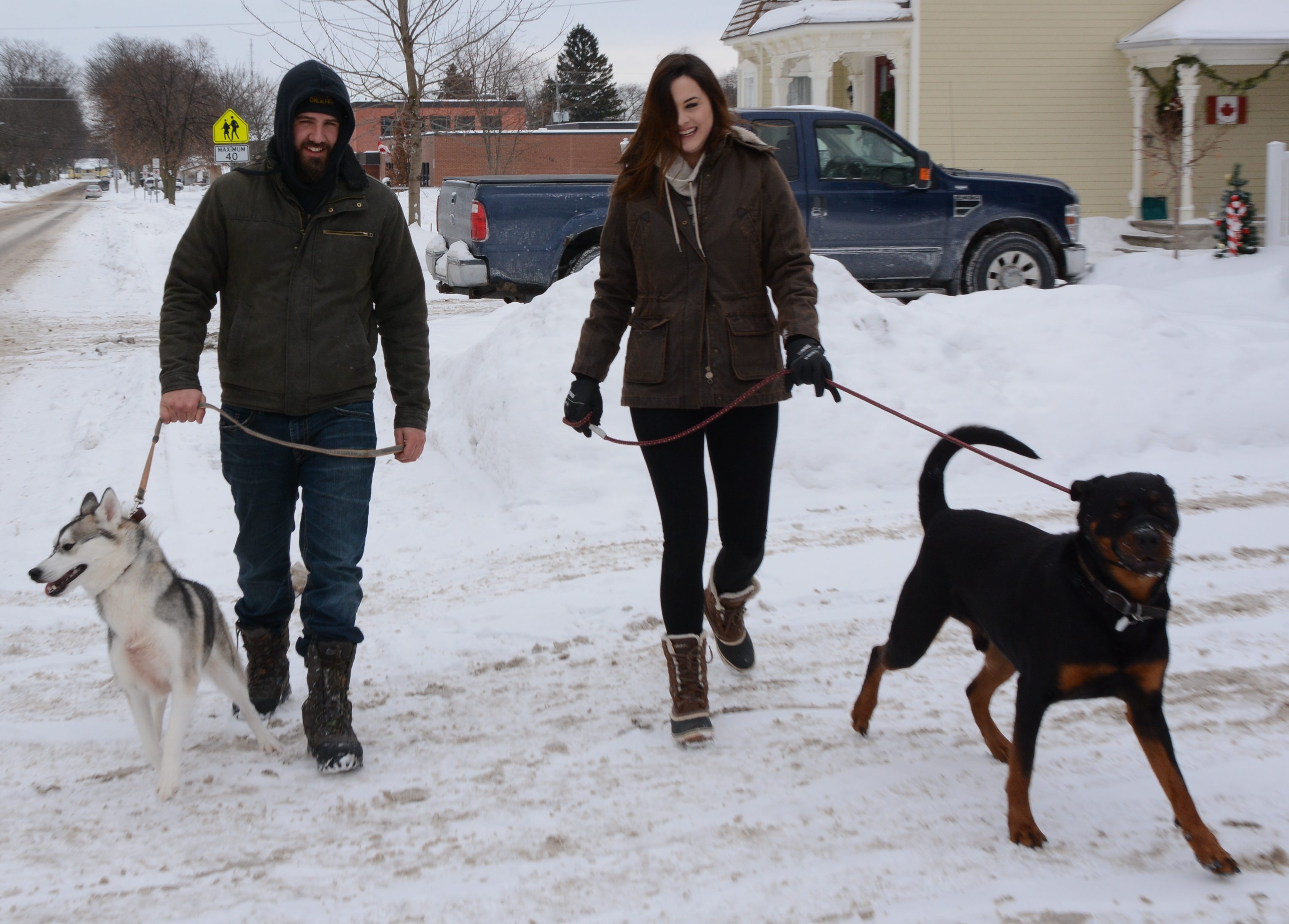 dogwalking dogwalking