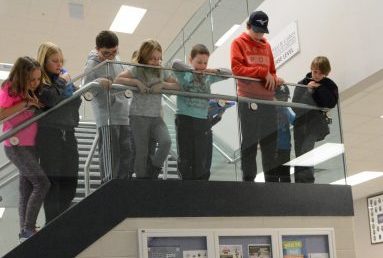 webDayCamp-1-e1520886818258