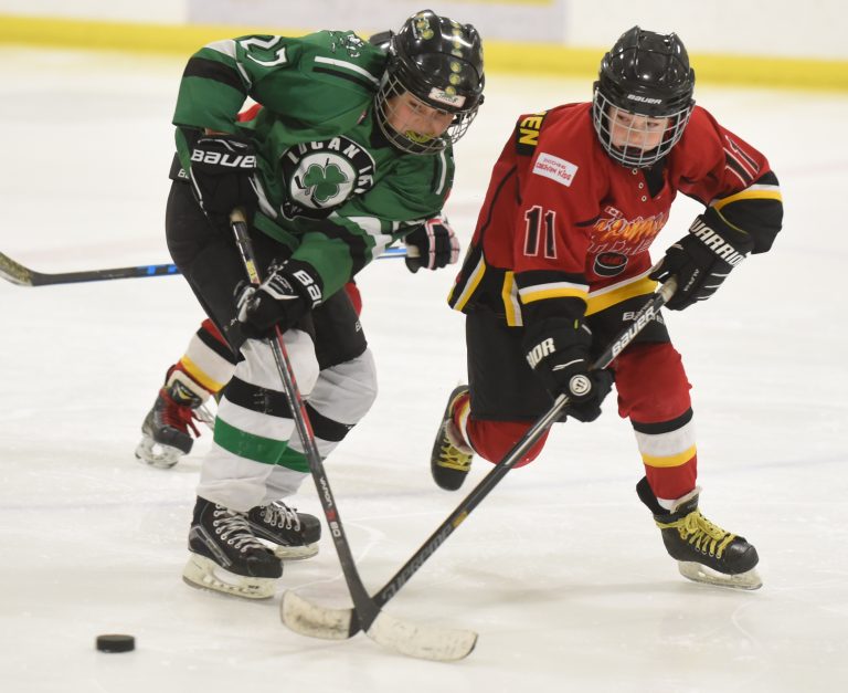 AMHA Novices lose title series to Lucan