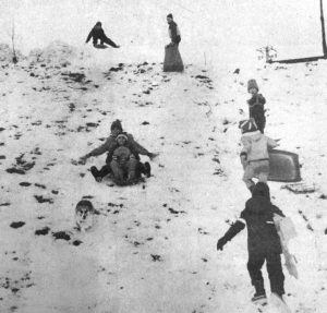 1982 – Tobogganing at Optimist Park