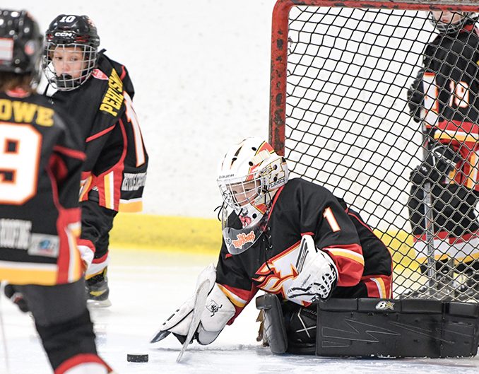 Featured image for "Lunging for the puck"