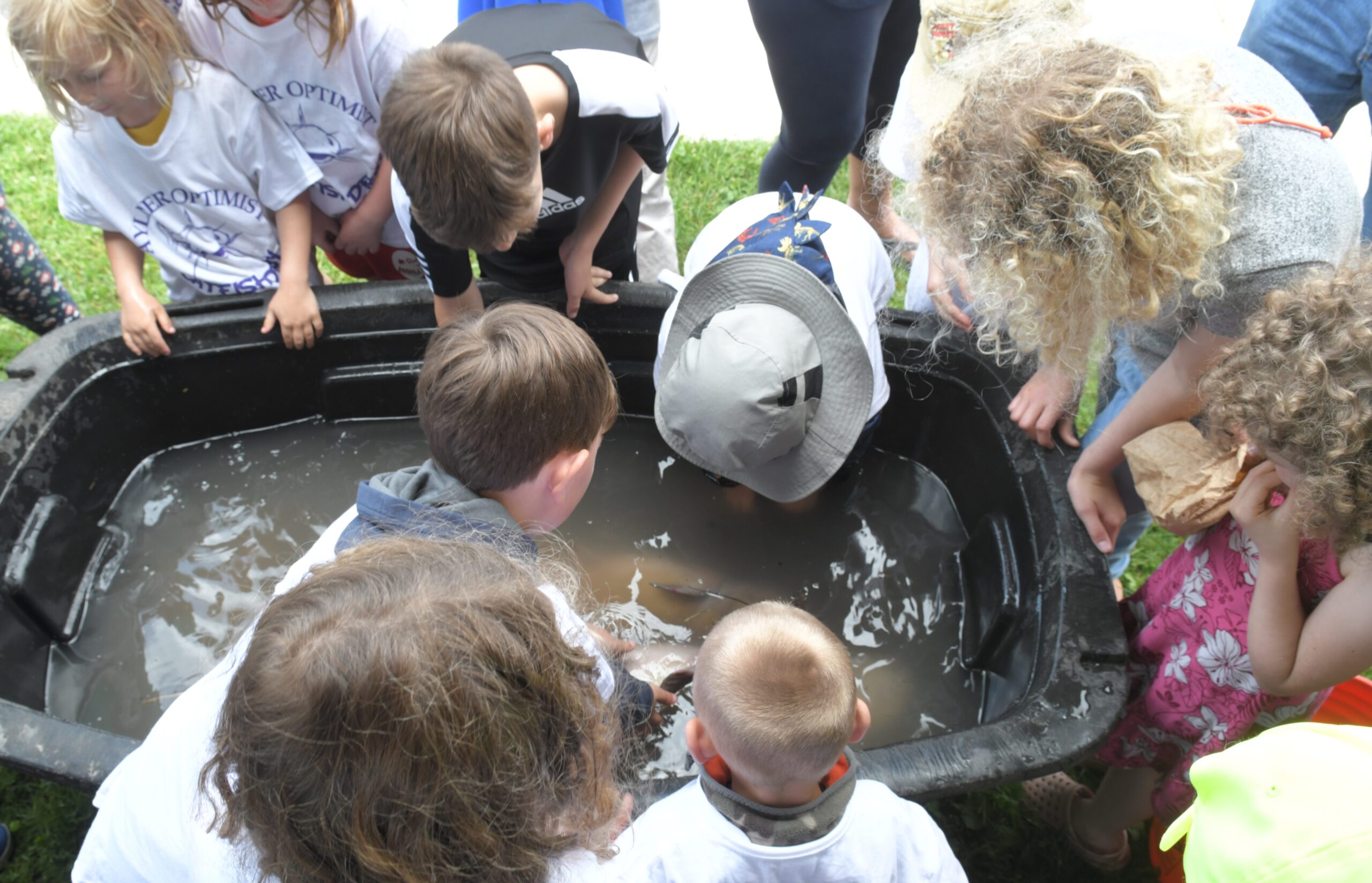 Featured image for "Over 120 youngsters enter catfish derby"