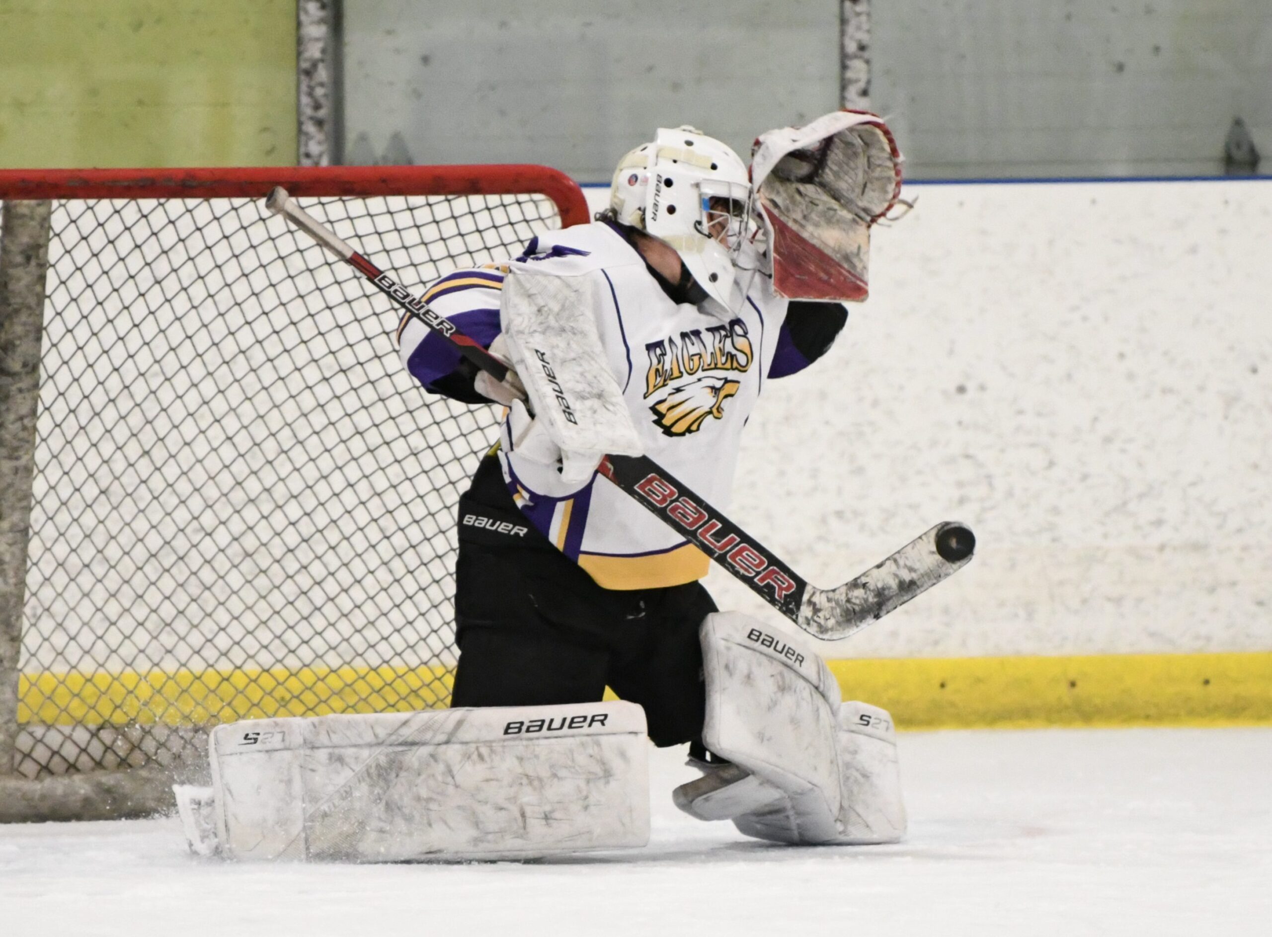 Featured image for "A stick save for EESS"