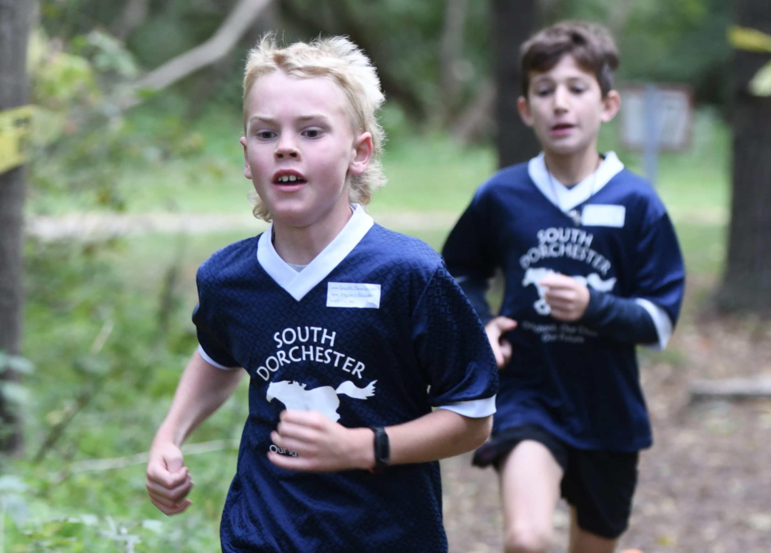 Featured image for "Elementary harriers race through Steen Park"