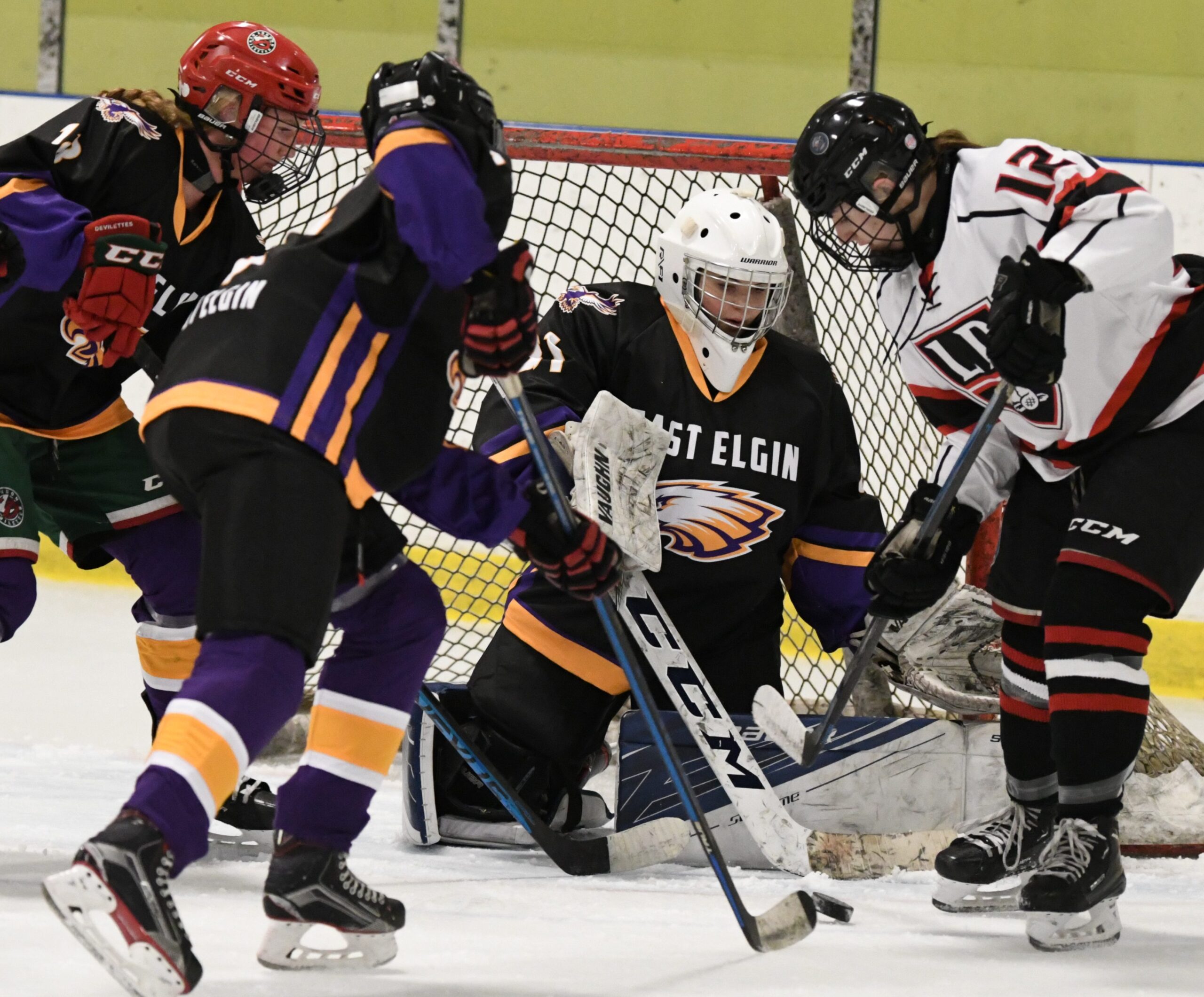 Featured image for "Southeast gold for EESS Girls hockey team"