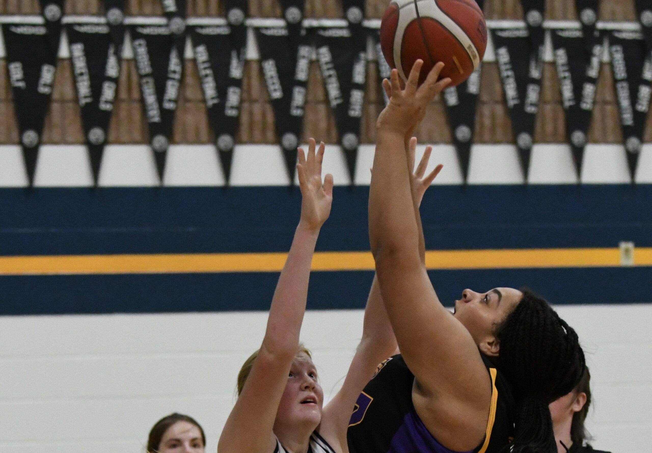 Featured image for "WOSSAA silver for Sr. Eagles"