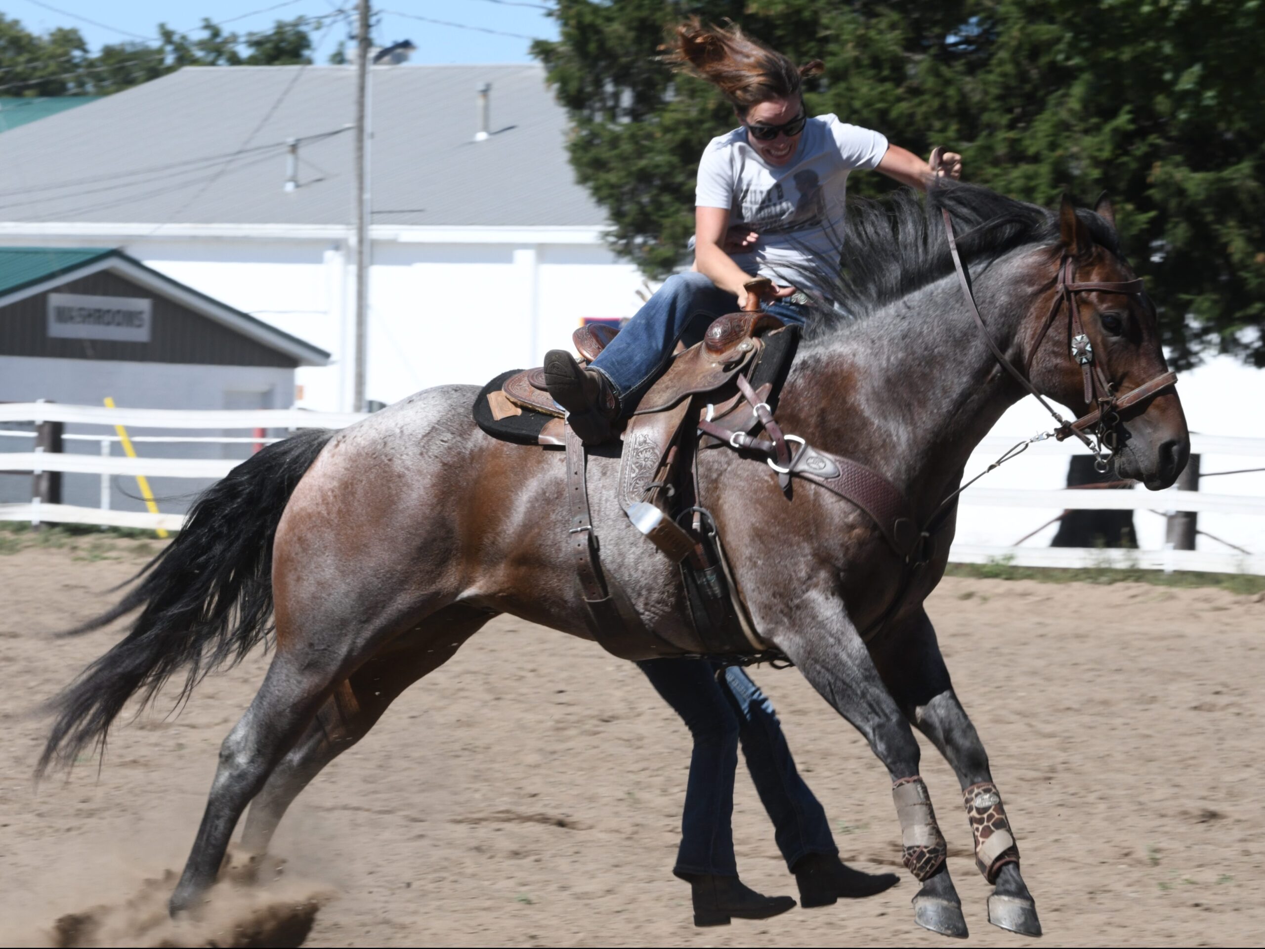 Featured image for "Losing their seats at horse show"
