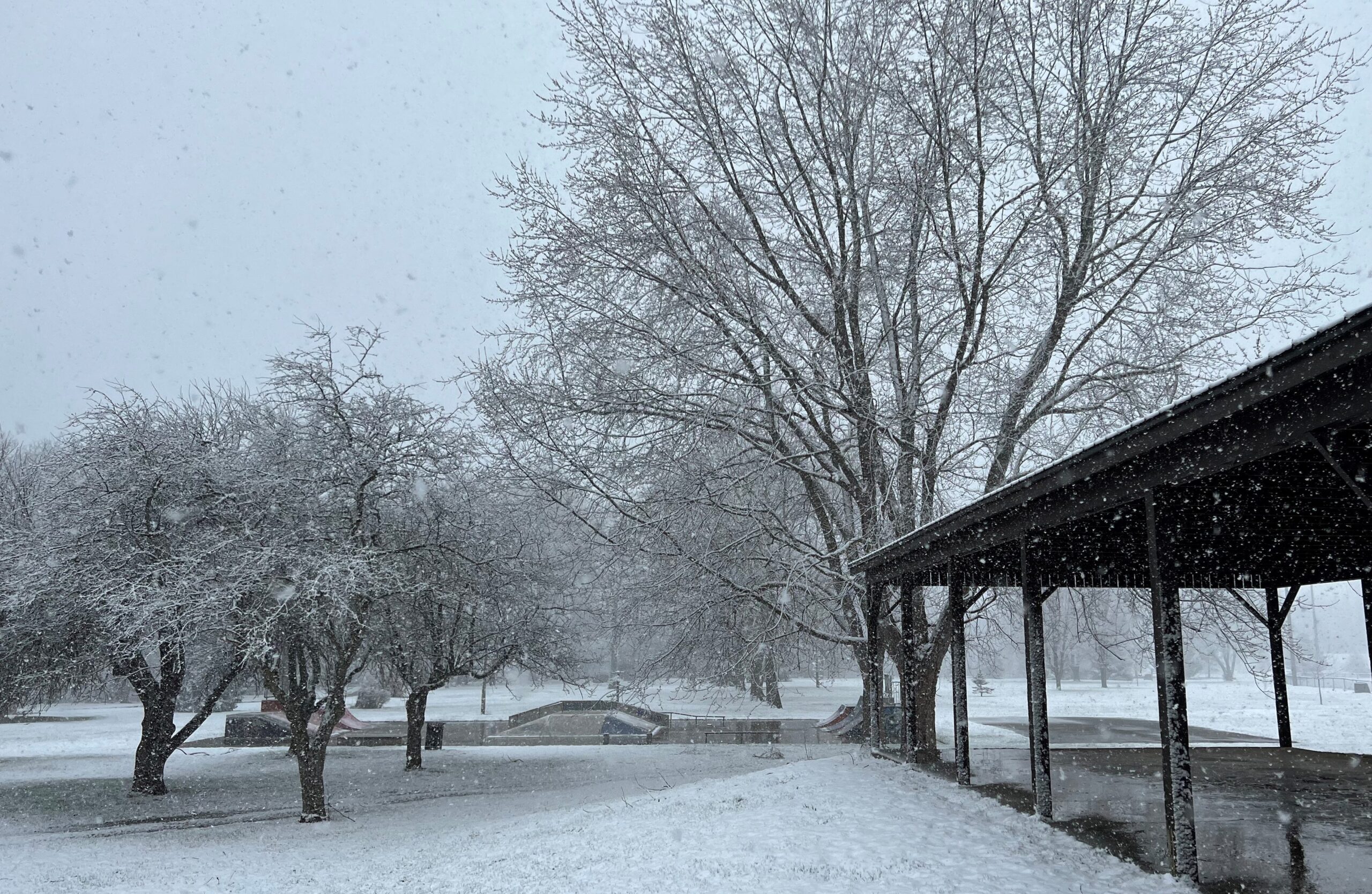Featured image for "Snow back in Aylmer, East Elgin"