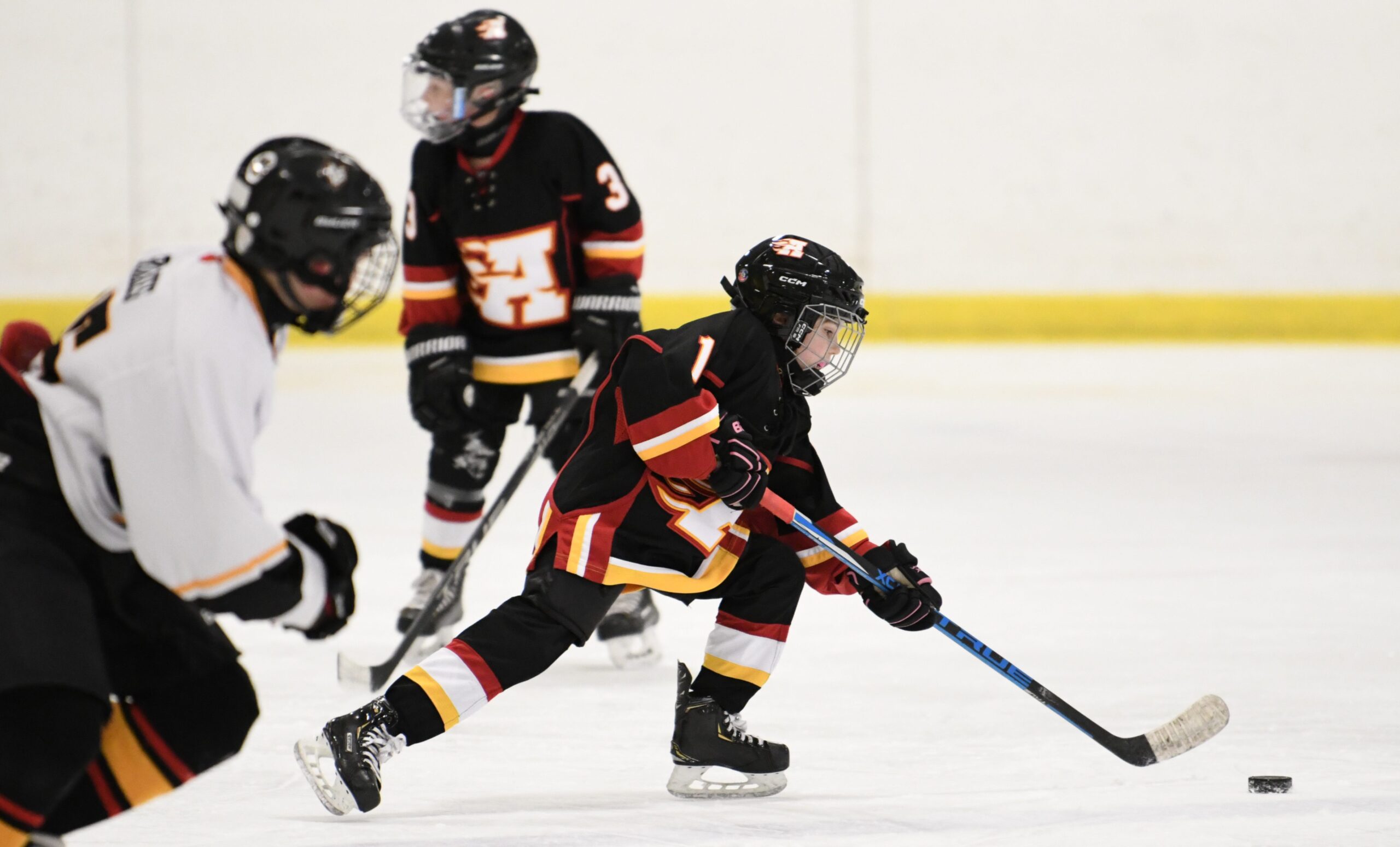 Featured image for "AMHA Under 9 Rep players win first game but lose second at tourney"